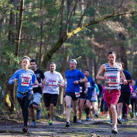 Image of Where the Wild Things Run